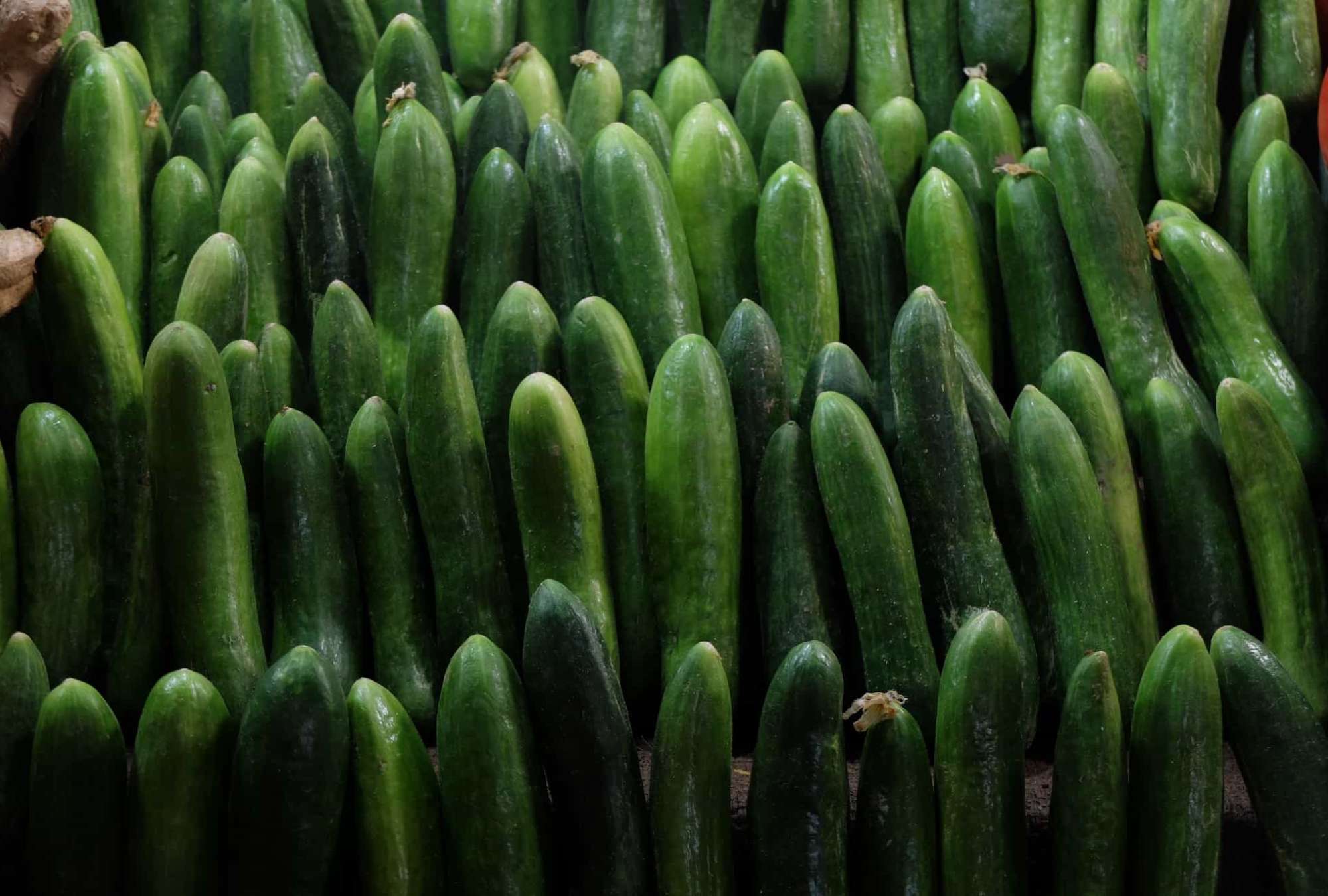 cucumber-extract-07.jpg – Spa