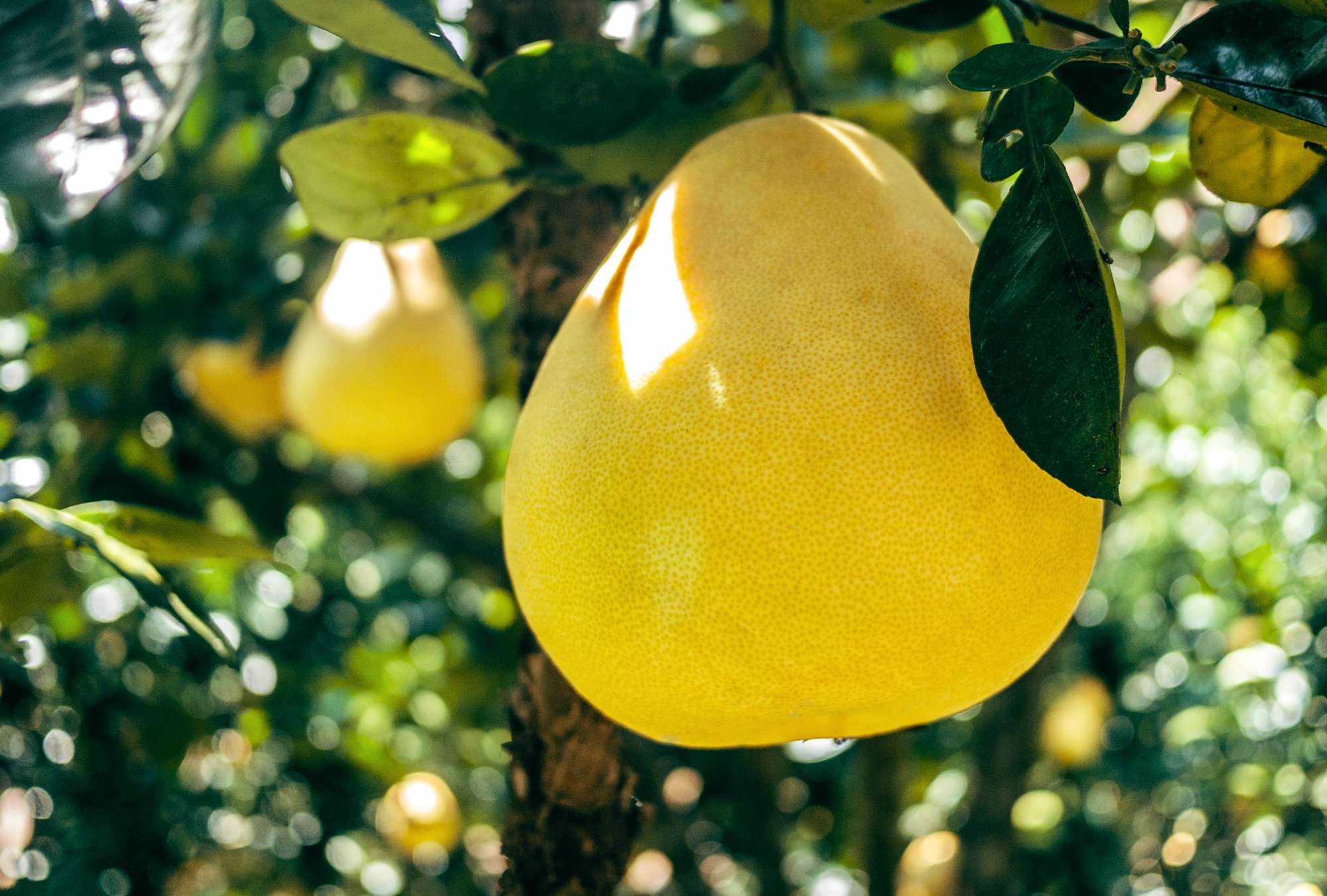 phoenix-han-Y_fopIp0GJw-unsplash-1640701577.jpg – Spa