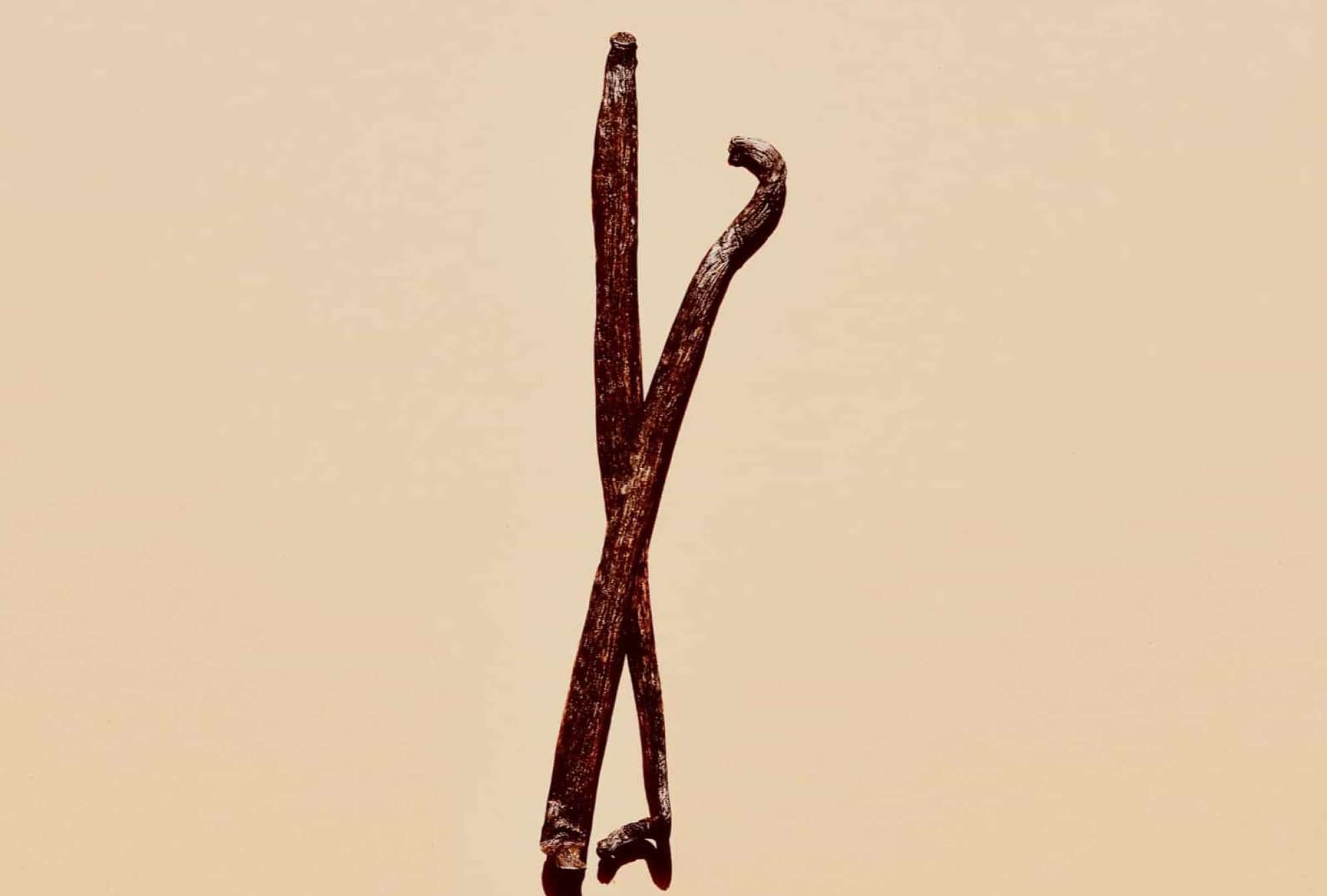 vanilla-oil-01.jpg – Spa